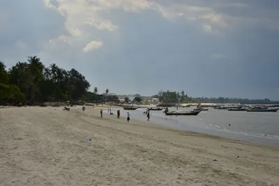 DSC_5463 (Large).JPG